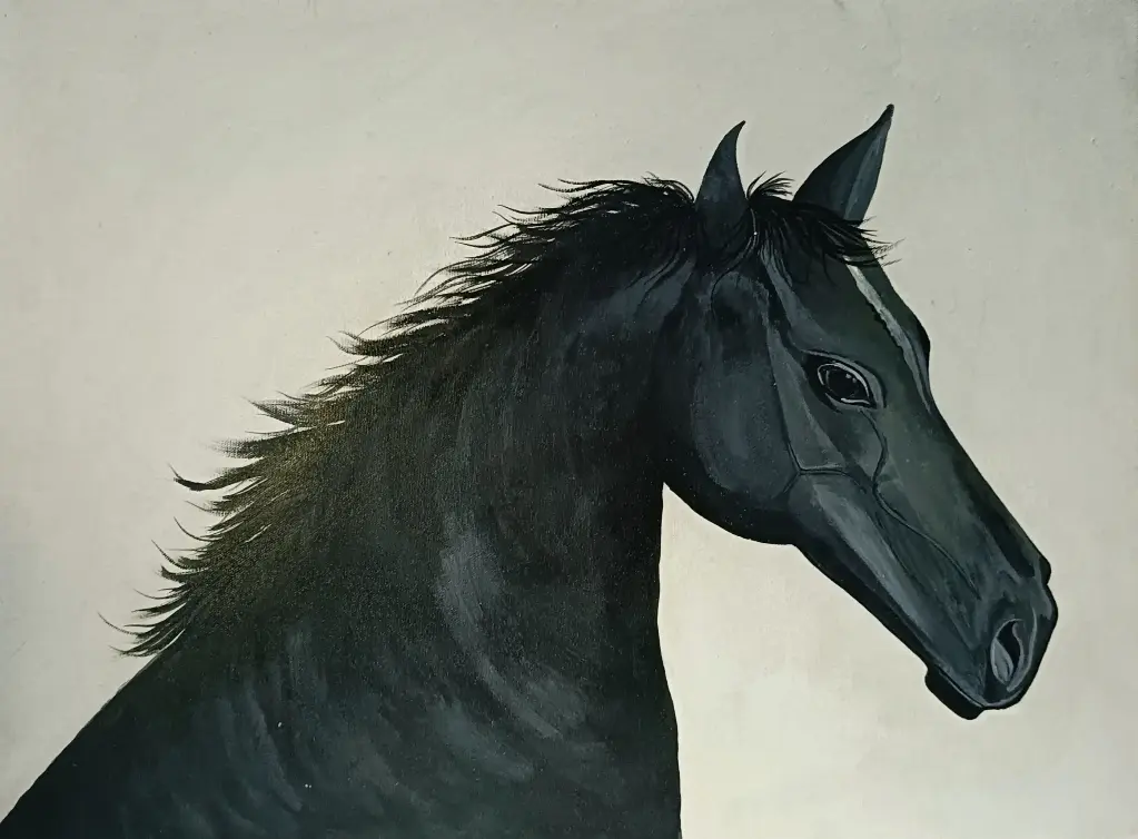 Shadowmane