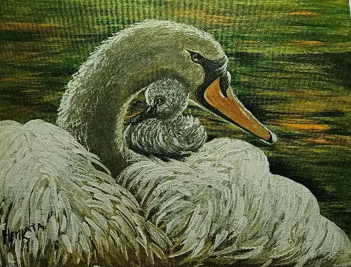 Embrace